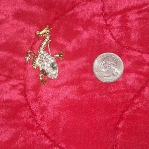 🌺FROG Brooch